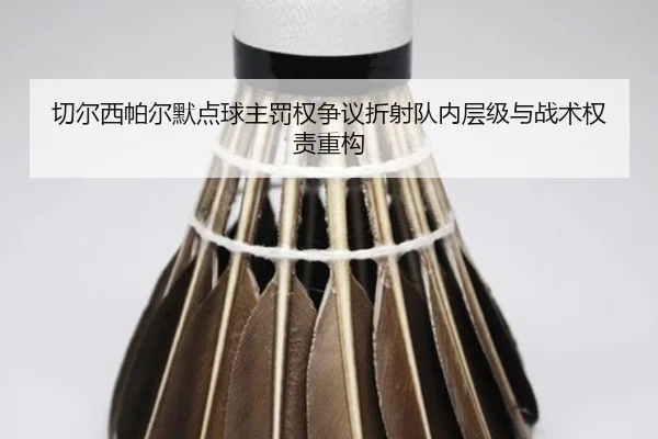 切尔西帕尔默点球主罚权争议折射队内层级与战术权责重构