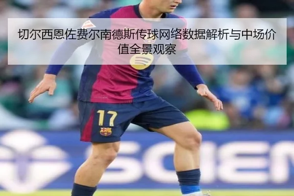 切尔西恩佐费尔南德斯传球网络数据解析与中场价值全景观察